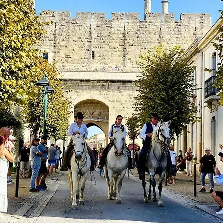 Notre Cocon Des Remparts *